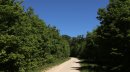 Forêt de la Voivre